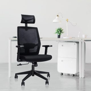 2-door filing furniture, 3.0m Boardroom Table, Clerical Office Chair, Executive Visitors Chair, Industrial executive desk, Large executive desk, reclining office seat, Small executive desk No No No No No