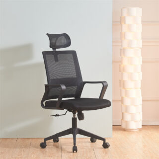 9-locker filing cabinet, Dual Orthopedic Office Chair, Electric Office Table, Ergonomic office chair, Executive office desk, filing cabinet, headrest office eat
