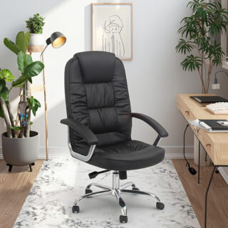 9-locker filing cabinet, Dual Orthopedic Office Chair, Ergonomic office chair, Executive office desk, filing cabinet, headrest office eat